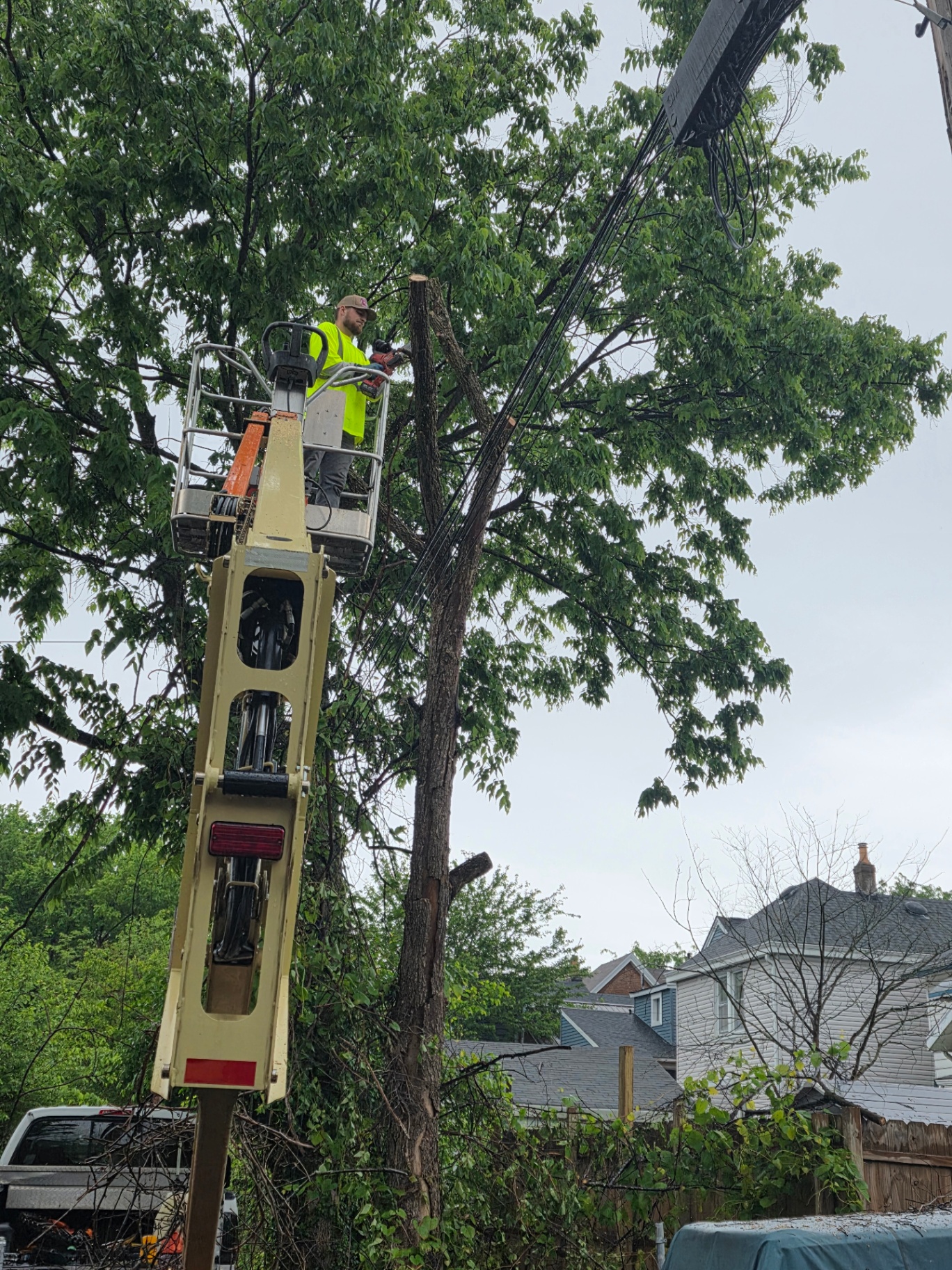 MX Property Services crew member in a JLG bucket lift cutting tree limbs near power lines in Northern Kentucky