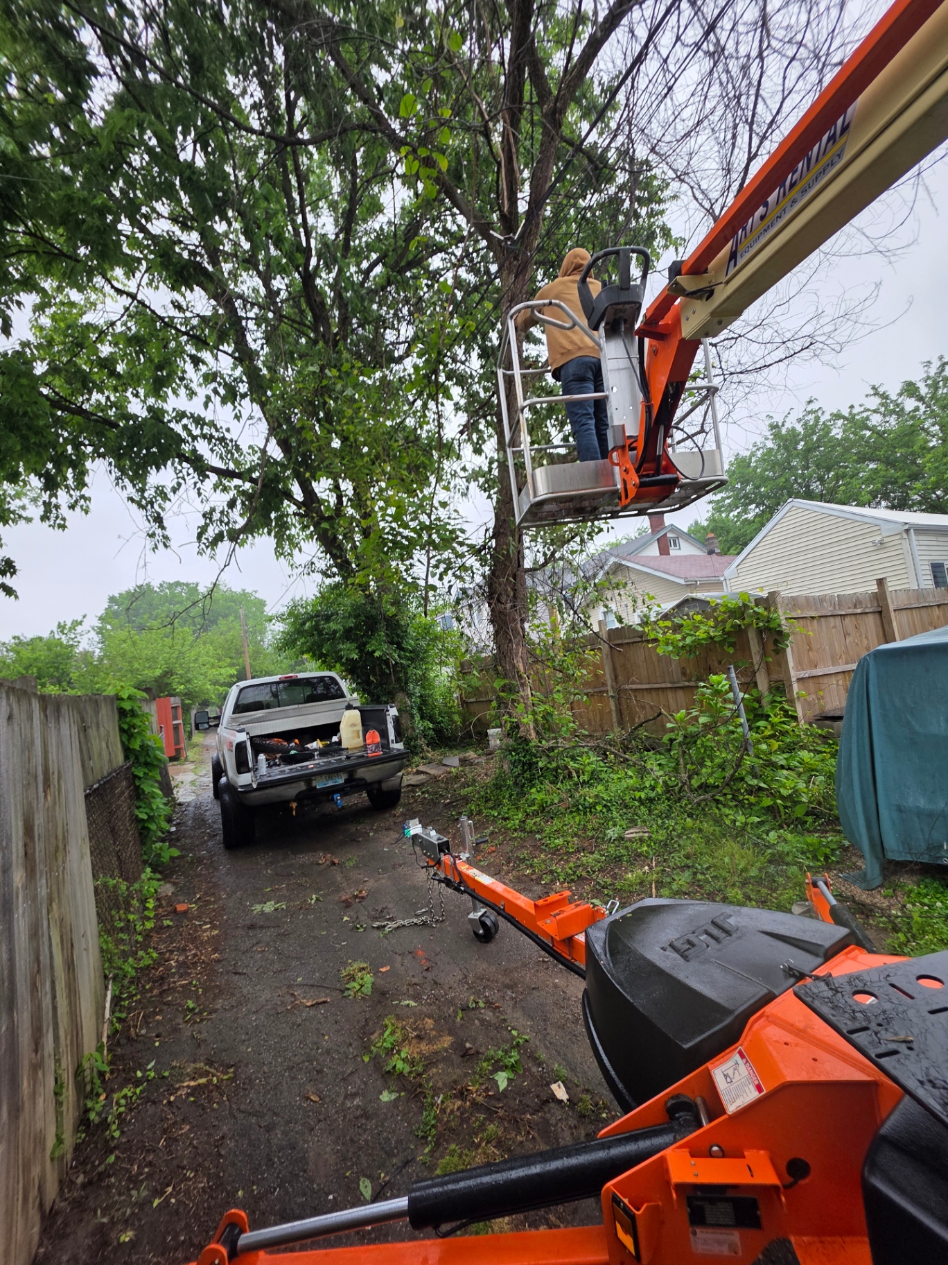 Tree & Stump Removal by MX Property Services in Northern Kentucky