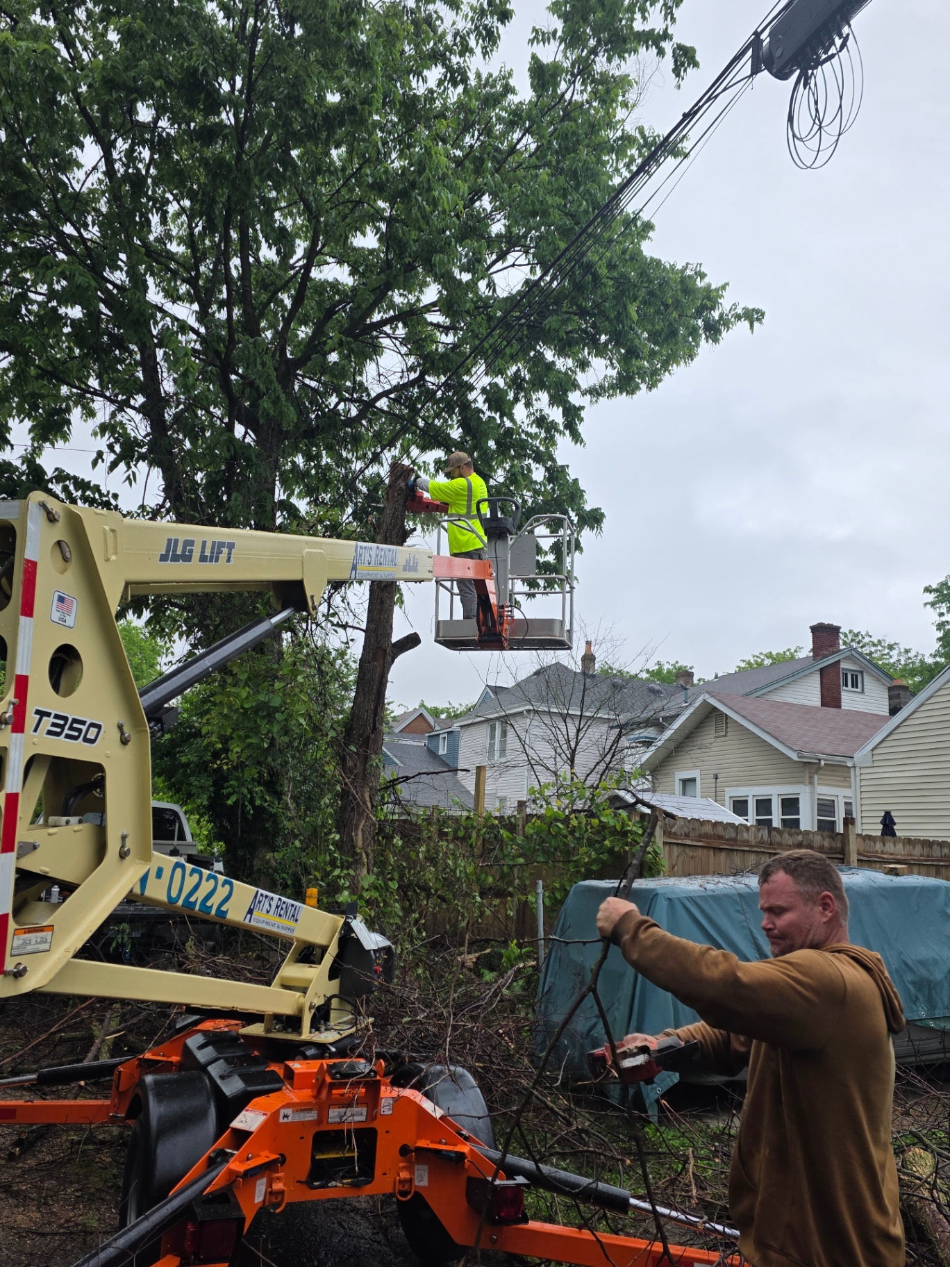 MX Property Services two-person tree removal crew running a JLG bucket lift while a groundsman clears cut branches in Northern Kentucky
